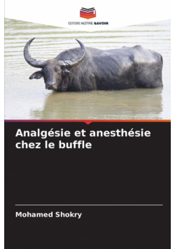Analgésie et anesthésie chez le buffle