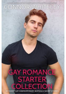 Gay Romance Starter Collection