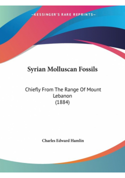 Syrian Molluscan Fossils