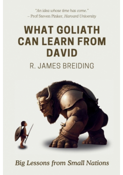 What Goliath can learn from David