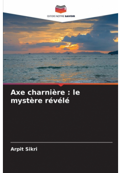 Axe charnière