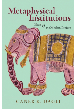 Metaphysical Institutions