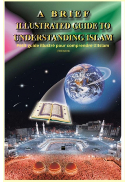 A Brief Illustrated Guide To Understanding Islam - Petit guide illustré pour comprendre l'Islam