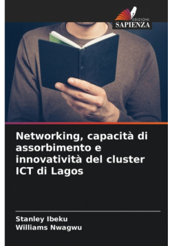 Networking, capacità di assorbimento e innovatività del cluster ICT di Lagos