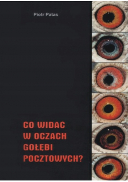 Co widać w oczach gołębi pocztowych