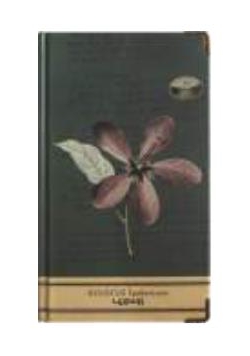 Notes H5/96K Hibiskus