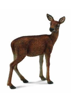 Łania M