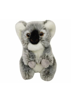 Koala siedząca 28cm