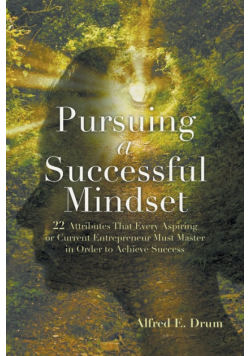 Pursuing A Successful Mindset