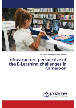Infrastructure perspective of the E-Learning challenges in Cameroon