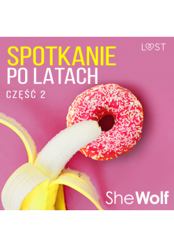 Spotkanie po latach 2 – opowiadanie erotyczne