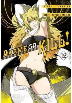 Akame ga Kill Tom 12
