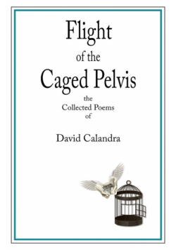 Flight of the Caged Pelvis