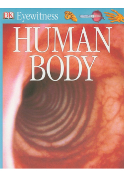 Human Body