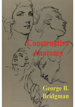 Constructive Anatomy
