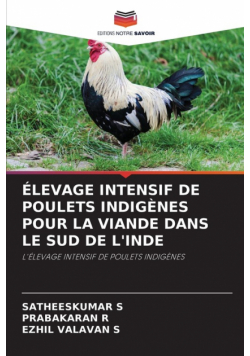 Élevage Intensif De Poulets Indigènes Pour La Viande Dans Le Sud De L'inde