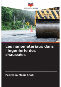 Les nanomatériaux dans l'ingénierie des chaussées
