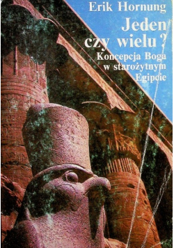 Jeden czy wielu?