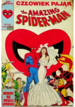 The Amazing Spider man Nr 6 / 91 Człowiek pająk