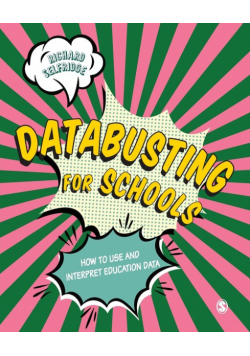 Databusting for Schools