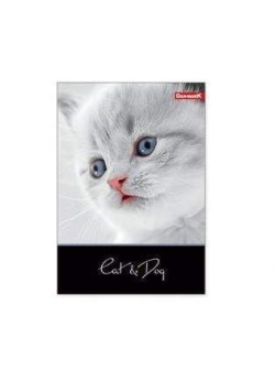 Kołozeszyt A5/120K kratka 1068 Cat&Dog