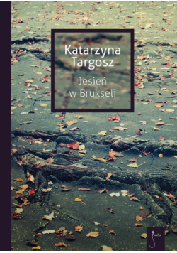 Jesień w Brukseli