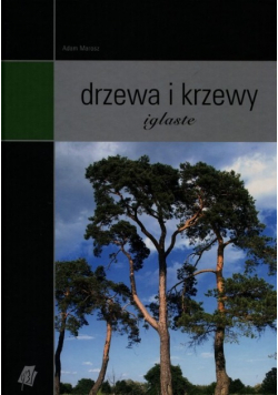 Drzewa i krzewy iglaste