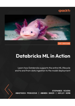 Databricks ML in Action