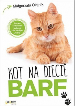 Kot na diecie Barf
