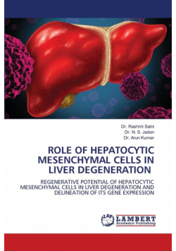 Role Of Hepatocytic Mesenchymal Cells In Liver Degeneration