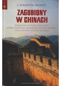 Zagubiony w Chinach