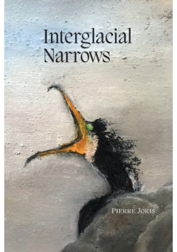 Interglacial Narrows