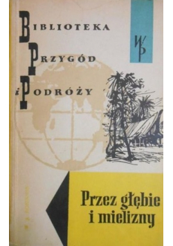 Przez głębie i mielizny