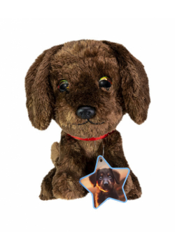 Lumo Labrador retriever Choco classic
