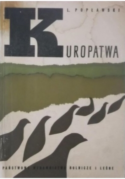 Kuropatwa