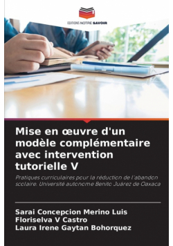 Mise en œuvre d'un modèle complémentaire avec intervention tutorielle V