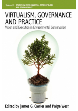 Virtualism, Governance and Practice
