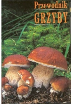 Przewodnik Grzyby