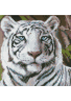 Diamentowa mozaika bez ramy - Tygrys bengalski