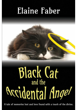 Black Cat and the Accidental Angel