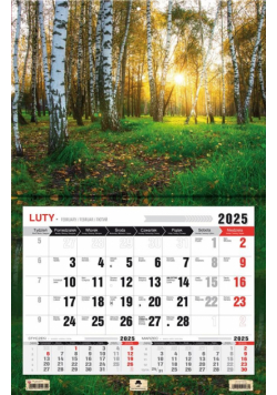 Kalendarz 2025 jednodzielny 3XL Las