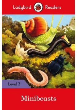 Minibeasts Level 3