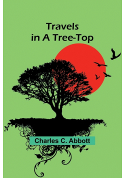 Travels in a Tree-top