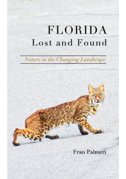 Florida Lost and Found