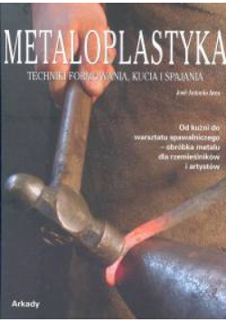 Metaloplastyka