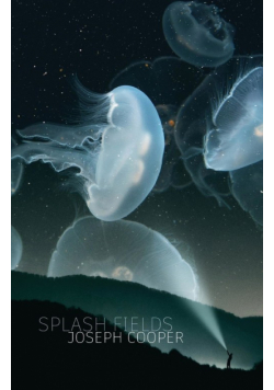 Splash Fields