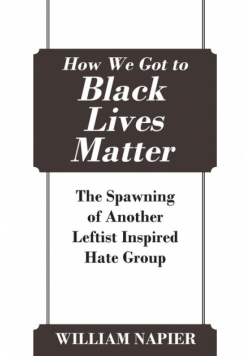 How We Got to Black Lives Matter