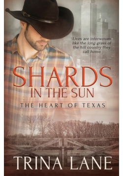 Shards in the Sun