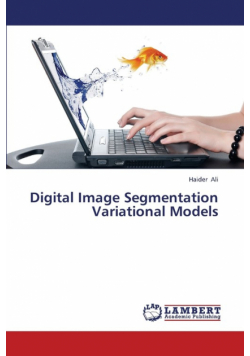 Digital Image Segmentation Variational Models