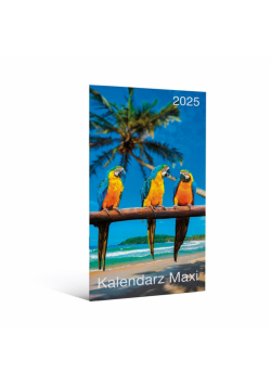 Kalendarz 2025 kiesoznkowy Maxi MIX
